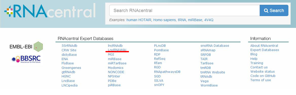 4001ϰٻnet()NO.1ٷվ