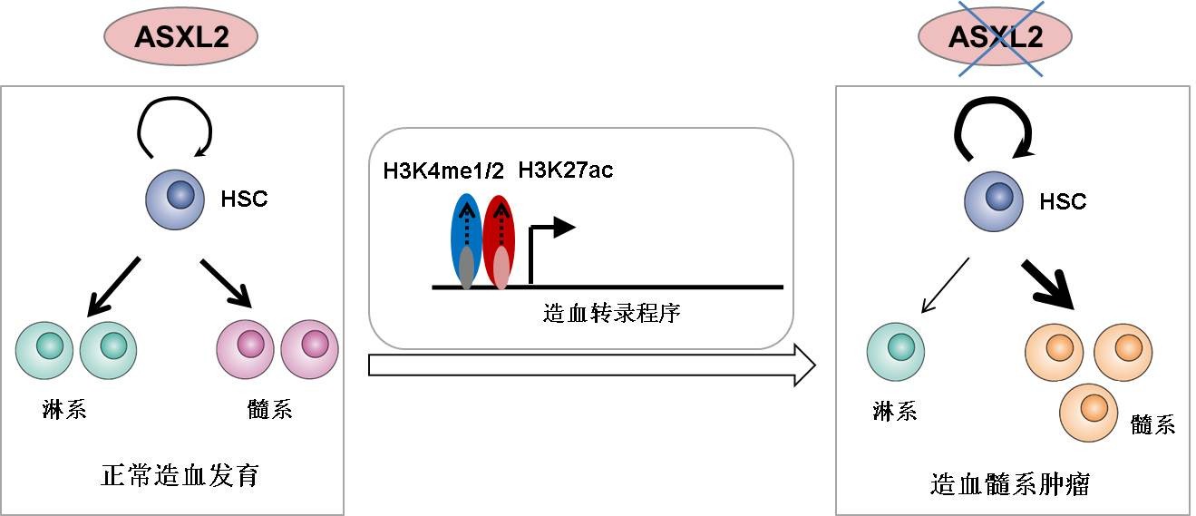 4001ϰٻnet()NO.1ٷվ